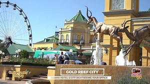 142 reactions · 44 shares | Wondering what to do this holiday in Joburg with the family? Go exploring Johannesburg with the Joburg Explorer Pass. This package offers you a 1-day hop-on-hop-off classic bus ticket, entrance to top 3 attractions, PLUS free entry to James Hall Transport Museum. Get your golden ticket and explore the City of Gold. | City Sightseeing South Africa | Facebook