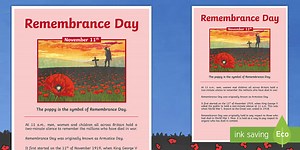 Remembrance Day Large Information Poster KS2