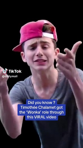 What is the ‘Statistic’ this song will be stuck in your head 😅 Timothée Chalamet got the ‘Wonka’ role through this viral rap video #timotheechalamet #fyp #showbiz #meme #statisticsxtimothee #celebrity #timotheechalametedit #wonka #movie