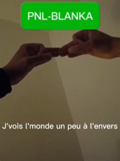 PNL-blanka en langage des signes théâtrale #pnl #pnlblanka #blanka #pnldeuxfrères #pourtoi