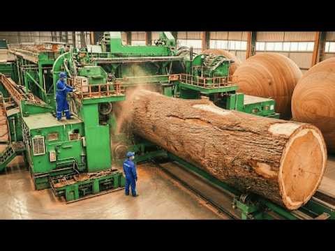 Inside the Giant Timber Factory: How Giant Tree Trunk Become Luxuary Rare Wooden Sphere