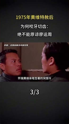 1975年黃維特赦後，爲何咬牙切齒：絕不能原諒廖運周！#歷史#科普#真實事件#黃維 #廖運周