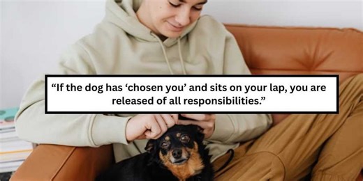 17 silly 'house rules' couples made as a joke that worked so well they kept them