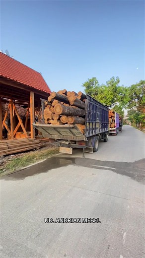 Proses Tebang Kayu Jati untuk Bahan Rumah Limasan