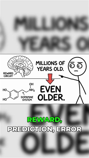 What Your Brain Was Actually Built for #brain #science