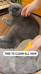 1.7M views · 10K reactions | A problem-solving product to sell  #dropshipping #ecommerce #onlinebusiness #dropshippingbusiness #ecommercebusiness #entrepreneur | Tradelle | Facebook