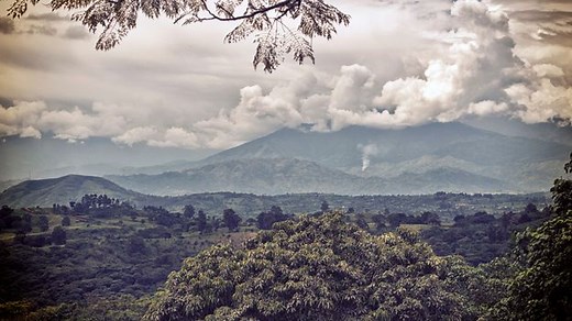 Rwenzori Mountains: Africa’s surreal ‘Mountains of the Moon’