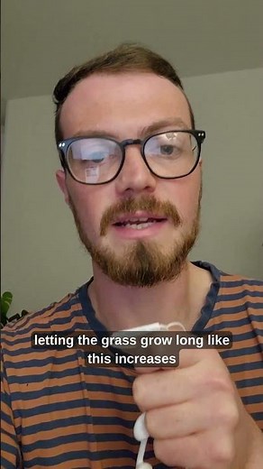 How to Rewild your City - Part 1