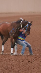 We have us a race. Considered “Turtle Island's Original Extreme Sport”, each rider makes three laps around the racetrack on three different horses, leaping from one horse to the next. The team consists of the rider (warrior), the muggers (catchers) who capture the horses, and the setters, who hold the fresh horses for the riders to jump on and take off: all done bareback with no saddle. Watch the event nightly at Calgary Stampede. Learn more about the high-adrenaline sport on Horse Warriors Seas
