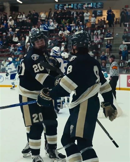 Minnetonka/Chanhassen 2AA Section Final Highlights