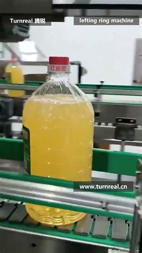 Guangzhou Turnreal lefting ring machine 2
