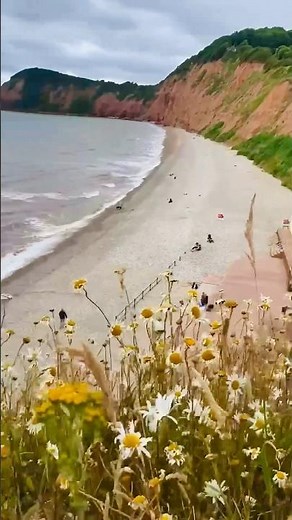 Jurassic Coast Beach View from Salcombe Hill Cliff, Sidmouth, England. #devon #shorts #cliff #uk