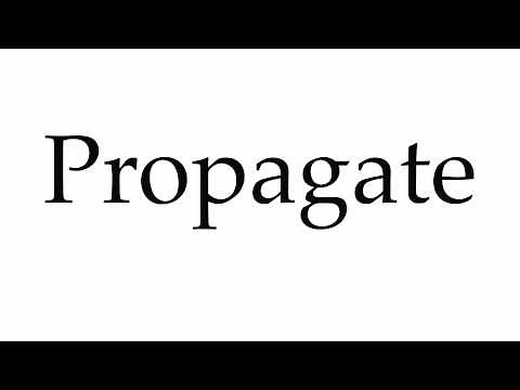 How to Pronounce Propagate