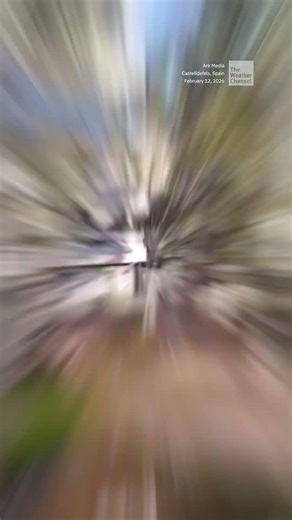 Extreme Winds Bring \rTree Crashing Down