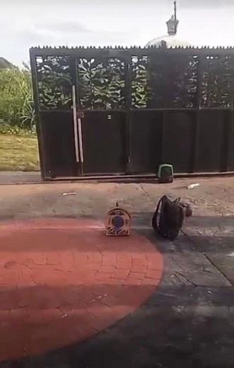 How to test trigger and pedestrian on the remote control of gate automated with Centurion D6 device