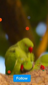 35K views · 2K reactions |  #internationalsurfingday #picturechallenge #reelsvideo #challenge #foryoupage #vlog #viral #trendingnow #viralvideo #millionviews #foryou #trending #1millionviews #photography #100KStrong #viralreels #100k #BMW #explorepage #viralpost #আমরাওমানুষ #explore #musicvideo #music #view #instagood #fyp #PhotoEditingChallenge #islamic #photooftheday | স্বপ্না খাতুন | Facebook