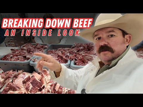 The Butcher Shop: An Inside Look Processing Beef | Bar 7 Ranch