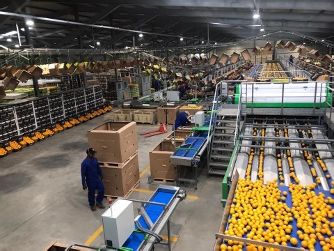 South Africa responds to Trump’s 30% tariff with economic defense plan
