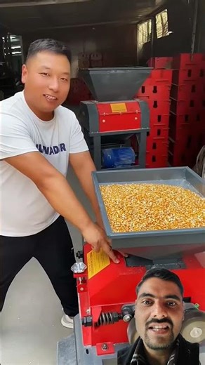 Roller machine for breaking maize kernel | #shorts #roller #machine #farmer #agriculture #feed