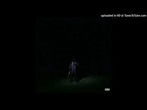 destroy lonely - fly shit (528hz)