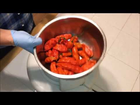 How to Safely Preserve GHOST PEPPERS!