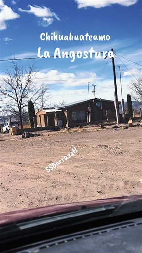 Chihuahuas: Love and Care for Your Little Companion