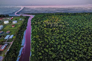 Reka u Argentini "preko noći" postala krvava: Stanovnici preplašeni VIDEO