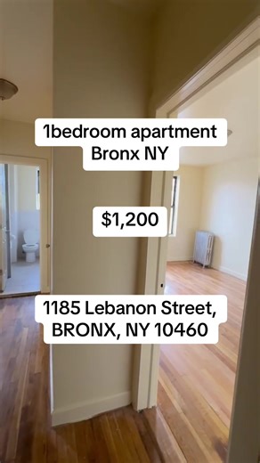 Tour a Stunning 1-Bedroom Apartment in Bronx, NY