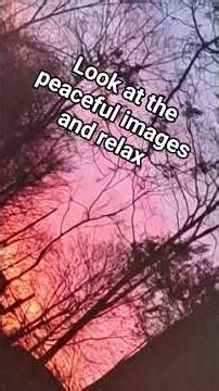 look at the peaceful images and relax #calming #relax rela