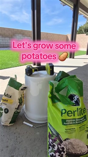 Easy Steps to Grow Potatoes in a Bucket