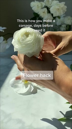 Don’t be afraid to make your flower corsage days ahead #hydrationchamber #floraldesign #flowerhack #flowerhowto #corsage #ranunculus #floristsoftiktok #rachelchofloral
