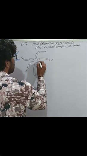 budding in hydra #reproduction #biology