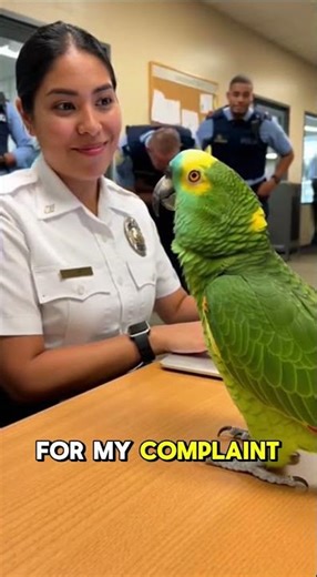 Parrot Files Official Complaint Against Police Officer… For Being Too Distracting 😂