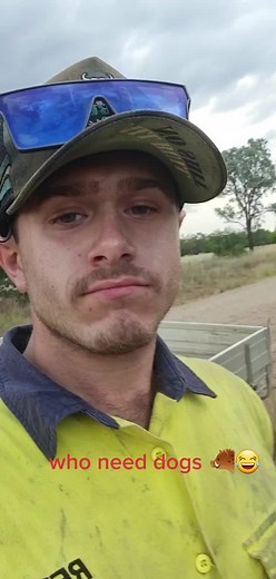 Hunting Boars Without Dogs | George's Noisy Adventure