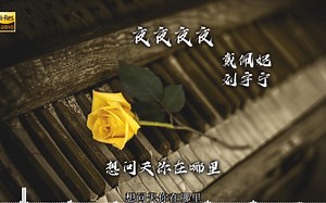 沉浸式听歌：戴佩妮、刘宇宁-夜夜夜夜 【Hi-Res】 无损音质