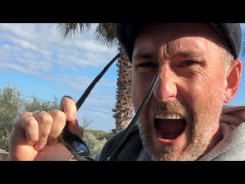 THEY ARRESTED TRUMP NOW?