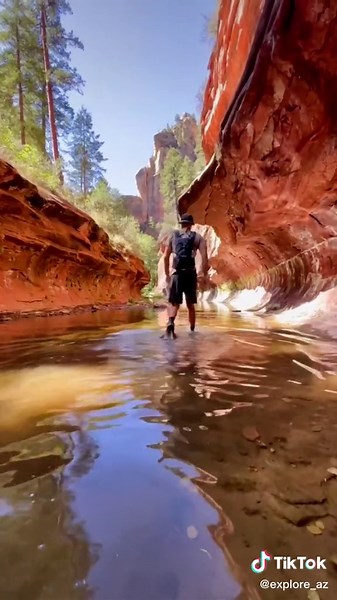 Natalie and Conor on TikTok