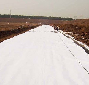 [Hot Item] Geotextile Fabric Road Construction Fabric PP Geotextile Non Woven Filter Cloth Geotextile Road Fabric in Sri Lanka