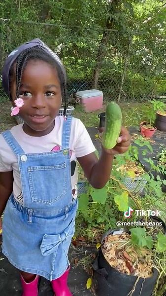 Grow Your Own Cucumbers for Delicious Pickles