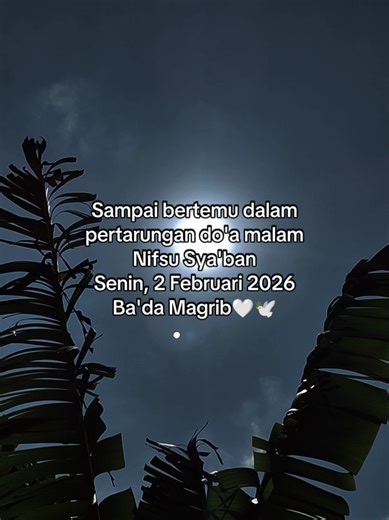 Blackjava.story (@blackjava.story)’s videos with الصوت الأصلي - 𝑇𝑜𝑟𝑎𝑏