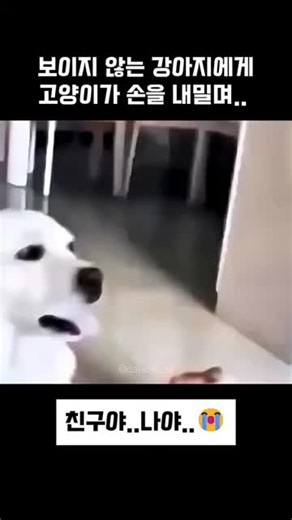 That's What Friends Are For (with Elton John, Gladys Knight & Stevie Wonder) - Dionne Warwick이(가) 포함된 Different THINK (@different.think3) 님의 동영상