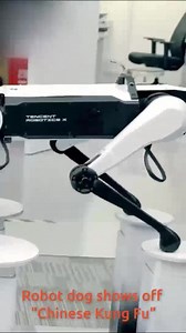 Robot dog shows off “Chinese Kung Fu”. All about China, and so much more, in Xi's Moments. | Xi's Moments