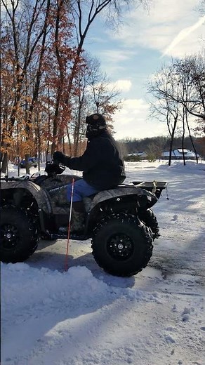 Plowing driveway with Yamaha Grizzly 700 with Moose Plow #shorts
