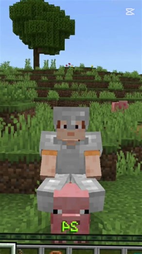 Loy ha #minecraft #naruto #mobilelegends #lifeisbutadream