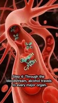What Happens When You Drink Alcohol?#AlcoholHarms#HealthAwareness#AlcoholSideEffects