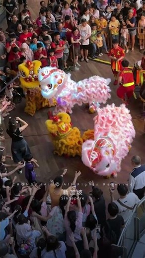 2026 Singapore Wen Yang LED Lion Dance Performance | 新加坡 文扬 發光二極體 舞狮 表演