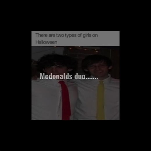 Tally Hall: Un viaje musical que no te puedes perder