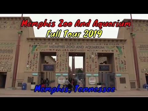 Memphis Zoo Full Tour - Memphis, Tennessee