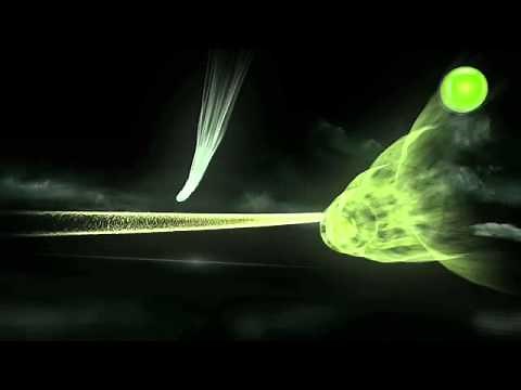 Dolby Surround 7.1 (2010-)