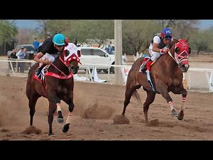 Horse Racing Los Mezquites Racetrack March 29, 2026